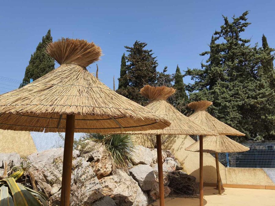 Paille naturelle, roseaux de Camargue, jonc : quelles différences ?